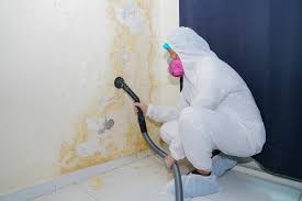 Reliable Marietta Alderwood, WA Mold Removal Services Solutions